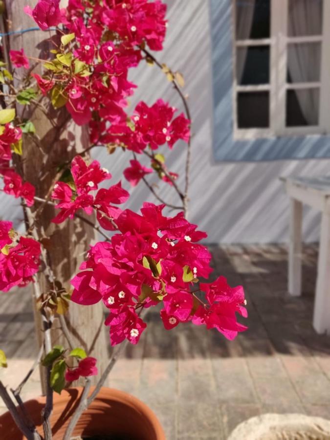 Casa Largo do Poço Guesthouse Alvor Exterior foto